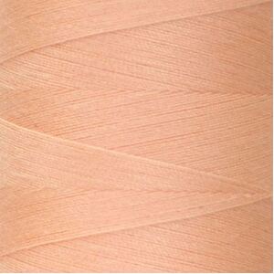 Rasant 120 Thread #1111 LIGHT APRICOT PINK 5000m Sewing &amp; Quilting Thread