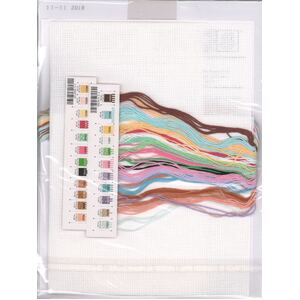 BIRTH RECORD FOR BABY Counted Cross Stitch Kit #13650
