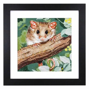 PYGMY POSSUM Natalie Jane Parker Counted Cross Stitch Kit 34cm x 34cm