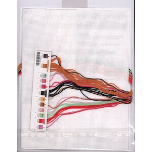 Disney WINNIE THE POOH BIRTH RECORD Counted Cross Stitch Kit #70-35357