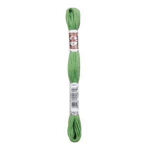 DMC Soft Cotton #2563, 10m Size 4 Matte Tapestry Floss aka Retors Mat