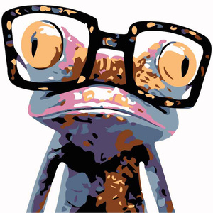 HIPSTER FROG Paint by Number by Colourme, 21cm x 21cm