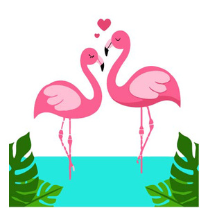 FLAMINGOS Paint by Number by Colourme, 21cm x 21cm