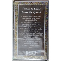Pewter Saint James Medal Pendant, 17 x 24mm Oval, Stainless Steel Chain & Biography