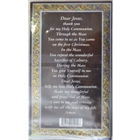 Pewter First Holy Communion Medal Pendant, 15mm Diameter, Stainless Steel Chain & Prayer