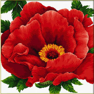 PEONY No Count Cross Stitch Kit, 40 x 40cm on 14 count aida, by Needleart World 