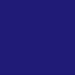 Robison Anton Rayon #2210 Royal 1000m Embroidery Thread 40wt