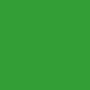 Robison Anton Rayon #2214 Emerald 1000m Embroidery Thread 40wt