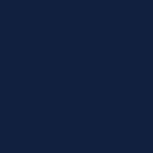 Robison Anton Rayon #2215 Navy 1000m Embroidery Thread 40wt