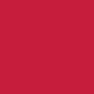 Robison Anton Rayon #2219 Scarlet 1000m Embroidery Thread 40wt