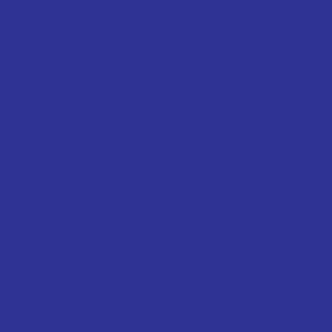Robison Anton Rayon #2220 Blue 1000m Embroidery Thread 40wt