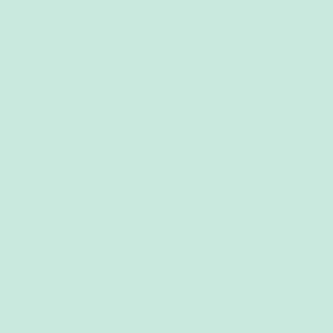 Robison Anton Rayon #2222 Light Blue 1000m Embroidery Thread 40wt