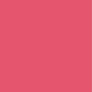 Robison Anton Rayon #2228 Begonia 1000m Embroidery Thread 40wt