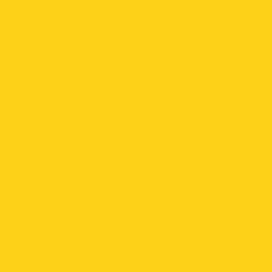 Robison Anton Rayon #2242 Goldenrod 1000m Embroidery Thread 40wt