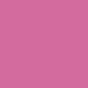 Robison Anton Rayon #2260 Hot Pink 1000m Embroidery Thread 40wt