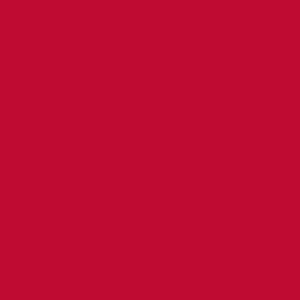 Robison Anton Rayon #2281 Jockey Red 1000m Embroidery Thread 40wt