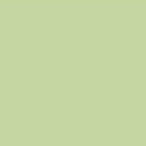 Robison Anton Rayon #2282 Flite Green 1000m Embroidery Thread 40wt