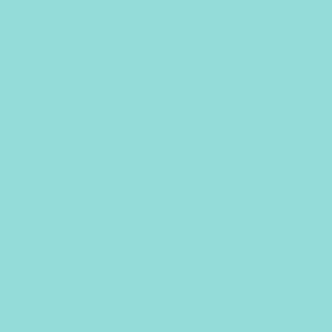 Robison Anton Rayon #2310 Mint 1000m Embroidery Thread 40wt
