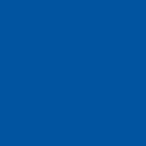 Robison Anton Rayon #2442 Solar Blue 1000m Embroidery Thread 40wt