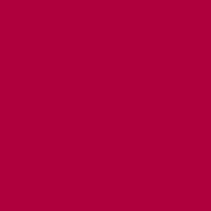 Robison Anton Rayon #2507 Candy Apple Red 1000m Embroidery Thread 40wt