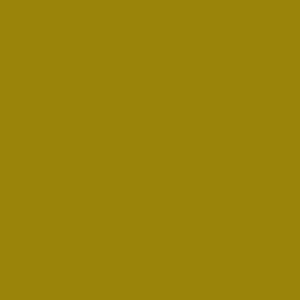 Robison Anton Rayon #2542 Foliage Green 1000m Embroidery Thread 40wt