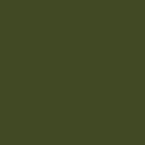 Robison Anton Rayon #2584 Dress Green 1000m Embroidery Thread 40wt
