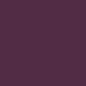 Robison Anton Rayon #2616 Pro Maroon 1000m Embroidery Thread 40wt