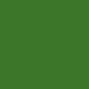 Robison Anton Rayon #2209 Green 5000m Embroidery Thread 40wt