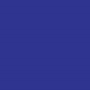 Robison Anton Rayon #2220 Blue 5000m Embroidery Thread 40wt
