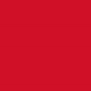 Robison Anton Rayon #2263 Foxy Red 5000m Embroidery Thread 40wt