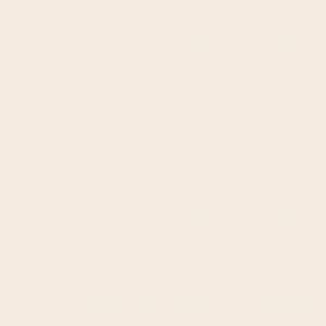 Robison Anton Rayon #2297 Snow White 5000m Embroidery Thread 40wt