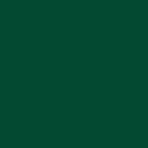 Robison Anton Rayon #2315 Evergreen 5000m Embroidery Thread 40wt