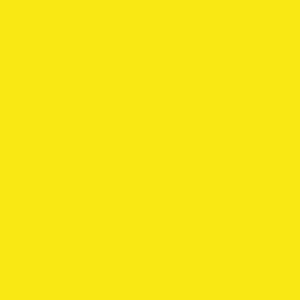 Robison Anton Rayon #2326 Daffodil 5000m Embroidery Thread 40wt