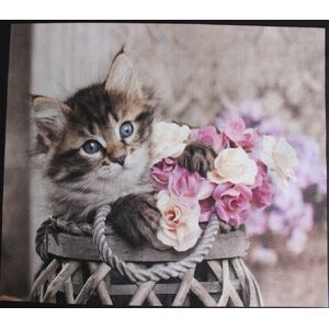 Cute Kittens 0123A 6 Block PANEL 100% Cotton Fabric, per 60cm Panel