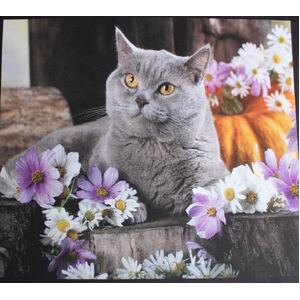 Cute Kittens 0123A 6 Block PANEL 100% Cotton Fabric, per 60cm Panel