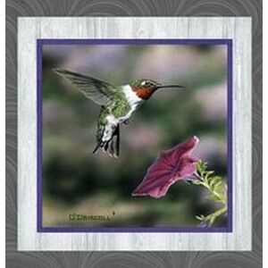 Hummingbird Song 6 Block PANEL 100% Cotton Fabric, 112cm x 60cm Per Panel