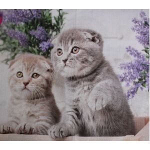 Cute Kittens 0123A 6 Block PANEL 100% Cotton Fabric, per 60cm Panel