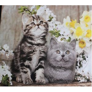 Cute Kittens 0123A 6 Block PANEL 100% Cotton Fabric, per 60cm Panel