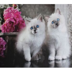 Cute Kittens 0123A 6 Block PANEL 100% Cotton Fabric, per 60cm Panel