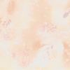 Fossil Fern Glazed Peach, 112cm Wide Cotton Quilting Fabric 528-42