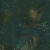 Fossil Fern Blackwatch Green, 112cm Wide Cotton Quilting Fabric 528-52
