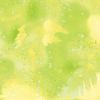 Fossil Fern Lime Ice, 112cm Wide Cotton Quilting Fabric 528-26