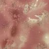 Fossil Fern Desert Rose, 112cm Wide Cotton Quilting Fabric 528-FF