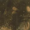 Fossil Fern Golden Pond, 112cm Wide Cotton Quilting Fabric 528-59