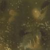 Fossil Fern Greek Olive, 112cm Wide Cotton Quilting Fabric 528-60