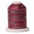 Signature Variegated 40 colour SM002 Holiday 700yd