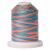 Signature Variegated 40 colour SM253 Summery Fun 700yd