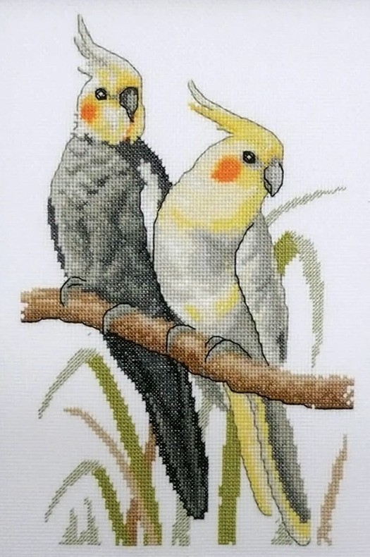 cockatiels cross stitch kit intermediate