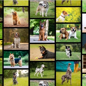 Canine Companions Furry Friends Collage Allover, 112cm Wide Cotton Fabric 1097K