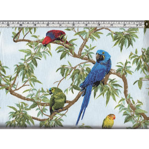 Fabric Quilt Inc Born Free Parrots Cotton Print Fabric, 112cm Wide Per Metre